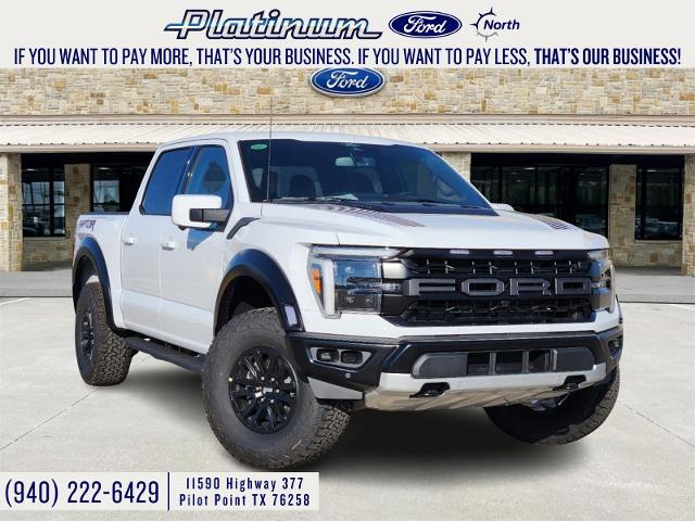 2024 Ford F-150 Vehicle Photo in Pilot Point, TX 76258-6053