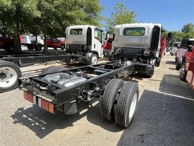 2025 Chevrolet Low Cab Forward 3500 Vehicle Photo in ALCOA, TN 37701-3235