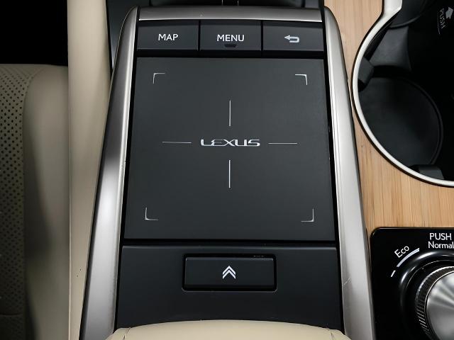 2021 Lexus RX 350 Vehicle Photo in Appleton, WI 54913