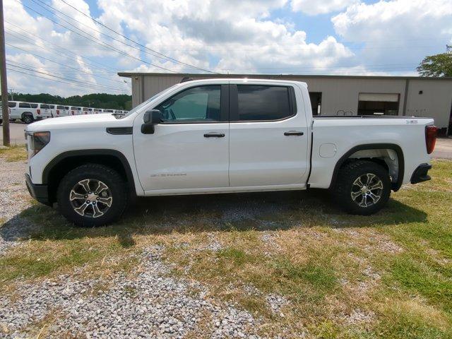 2024 GMC Sierra 1500 Vehicle Photo in ALBERTVILLE, AL 35950-0246