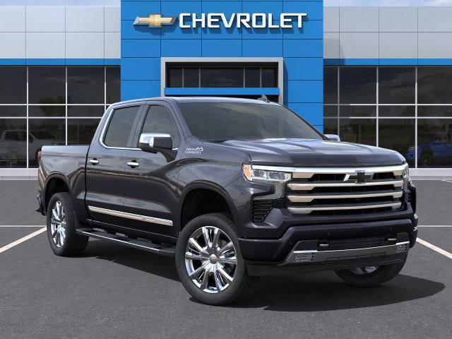 2024 Chevrolet Silverado 1500 Vehicle Photo in HOUSTON, TX 77034-5009