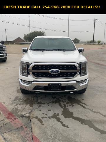 2022 Ford F-150 Vehicle Photo in STEPHENVILLE, TX 76401-3713