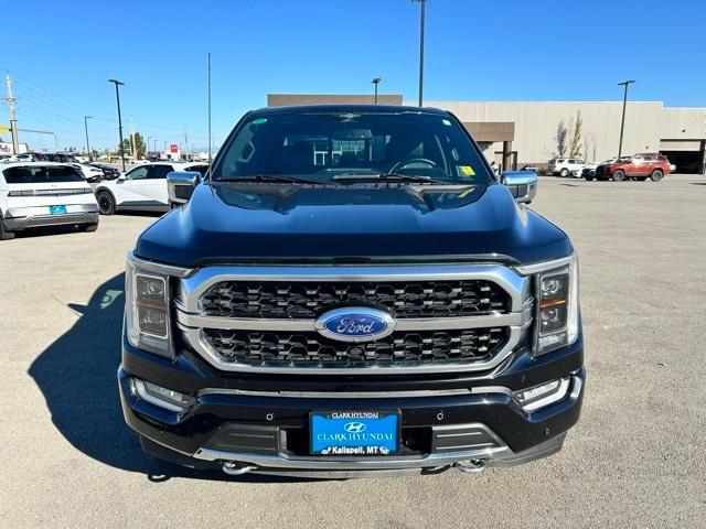 Used 2023 Ford F-150 Platinum with VIN 1FTFW1E89PFB85797 for sale in Kalispell, MT