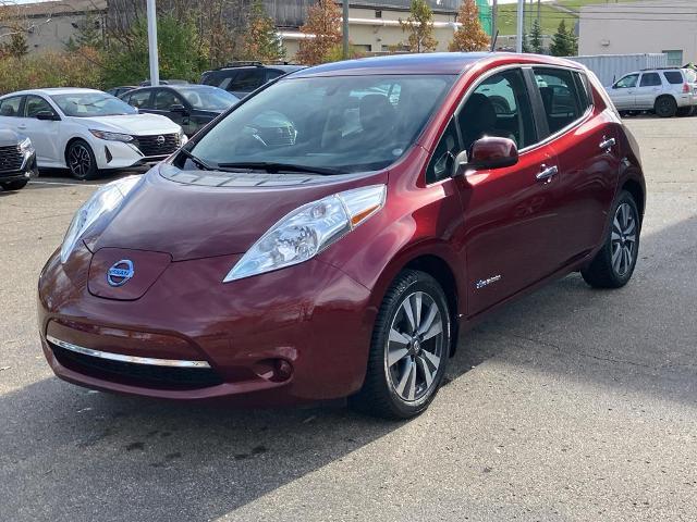 2017 Nissan LEAF Vehicle Photo in Canton, MI 48188