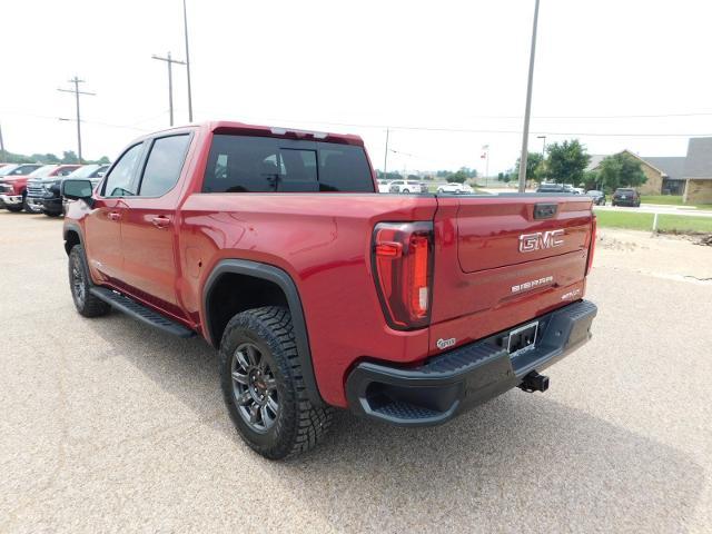 2024 GMC Sierra 1500 Vehicle Photo in GATESVILLE, TX 76528-2745