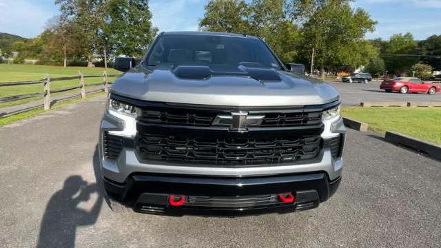 2024 Chevrolet Silverado 1500 Vehicle Photo in THOMPSONTOWN, PA 17094-9014