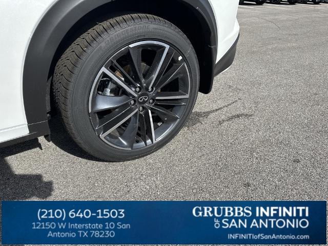 2024 INFINITI QX50 Vehicle Photo in San Antonio, TX 78230