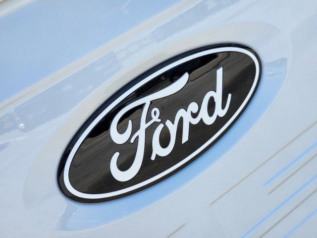 2024 Ford F-150 Vehicle Photo in STEPHENVILLE, TX 76401-3713