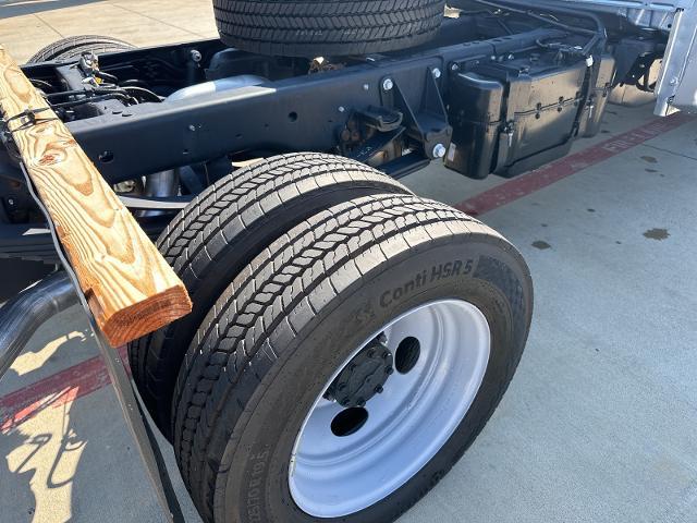 2024 Ford Super Duty F-550 DRW Vehicle Photo in Terrell, TX 75160