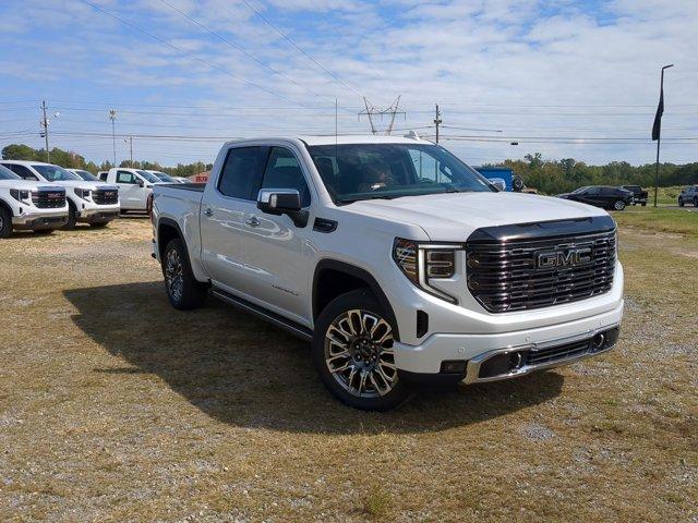 2025 GMC Sierra 1500 Vehicle Photo in ALBERTVILLE, AL 35950-0246