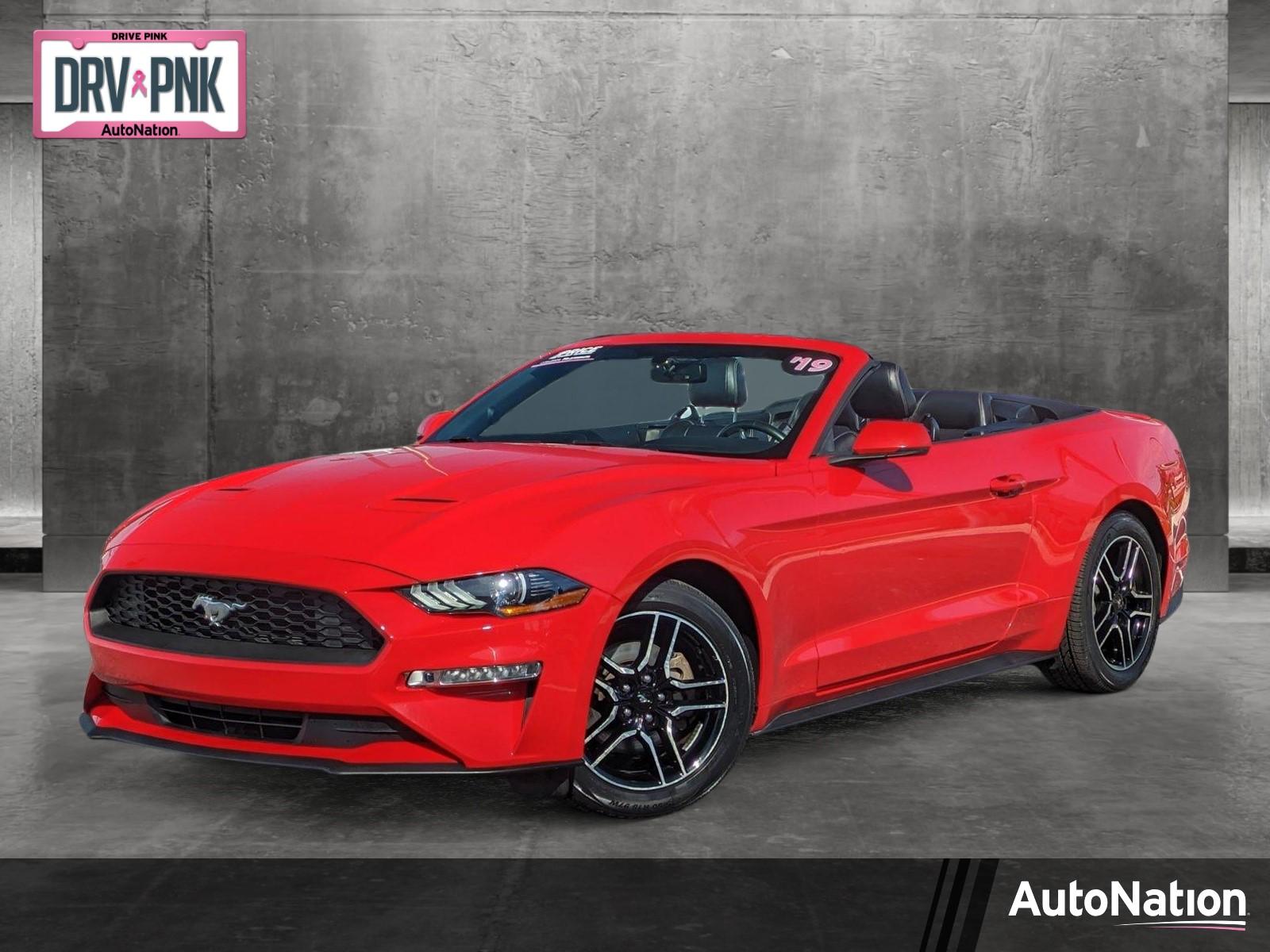 2019 Ford Mustang Vehicle Photo in Bradenton, FL 34207