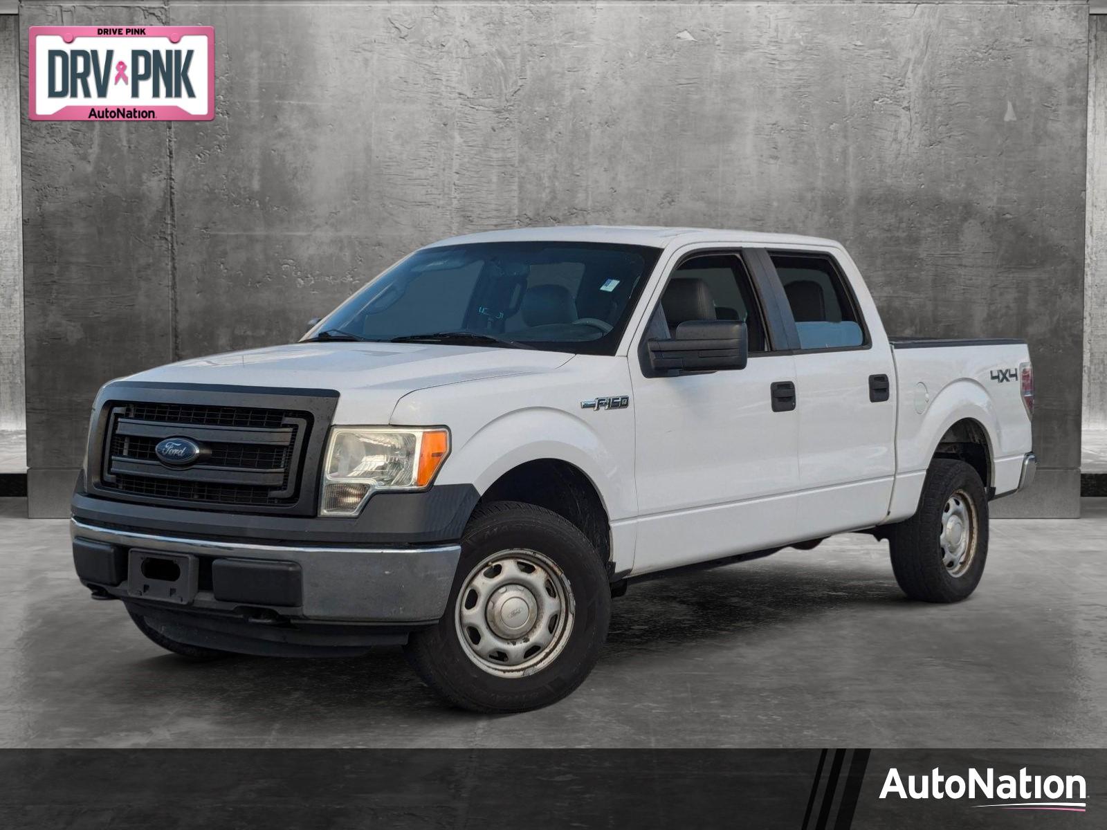 2014 Ford F-150 Vehicle Photo in St. Petersburg, FL 33713