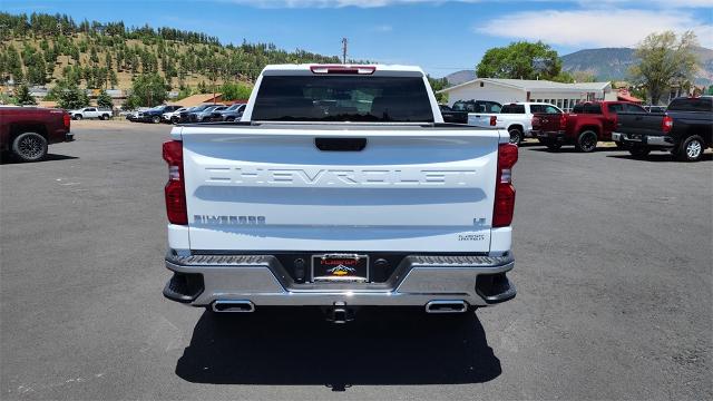 2024 Chevrolet Silverado 1500 Vehicle Photo in FLAGSTAFF, AZ 86001-6214