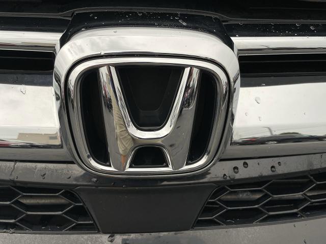 2019 Honda CR-V Vehicle Photo in WILLIAMSVILLE, NY 14221-4303