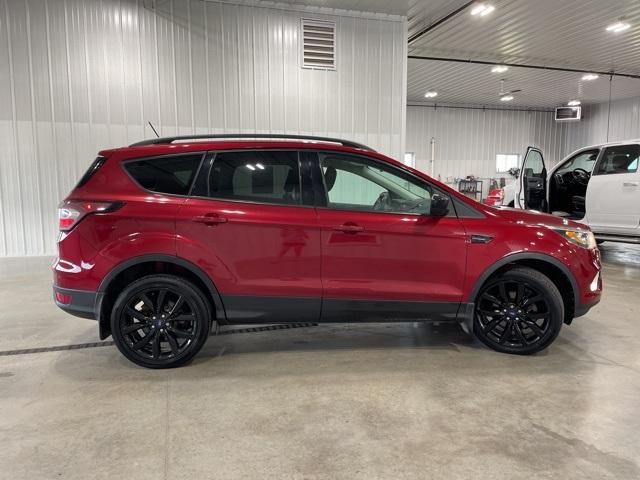 2018 Ford Escape Vehicle Photo in GLENWOOD, MN 56334-1123