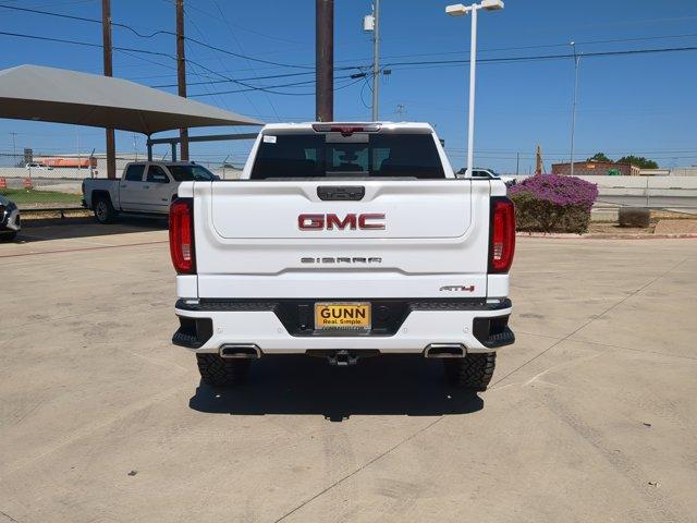 2020 GMC Sierra 1500 Vehicle Photo in SELMA, TX 78154-1459