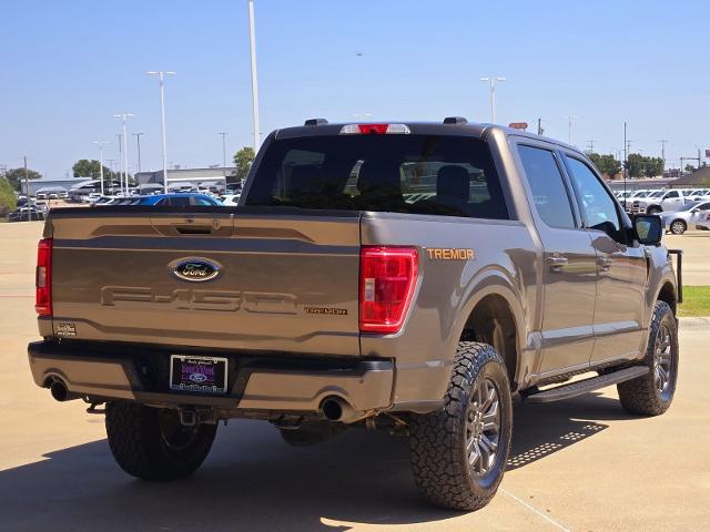 2023 Ford F-150 Vehicle Photo in Weatherford, TX 76087