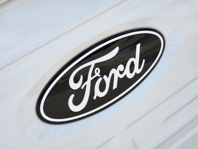 2024 Ford F-150 Vehicle Photo in STEPHENVILLE, TX 76401-3713