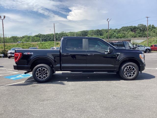 2021 Ford F-150 Vehicle Photo in Gardner, MA 01440