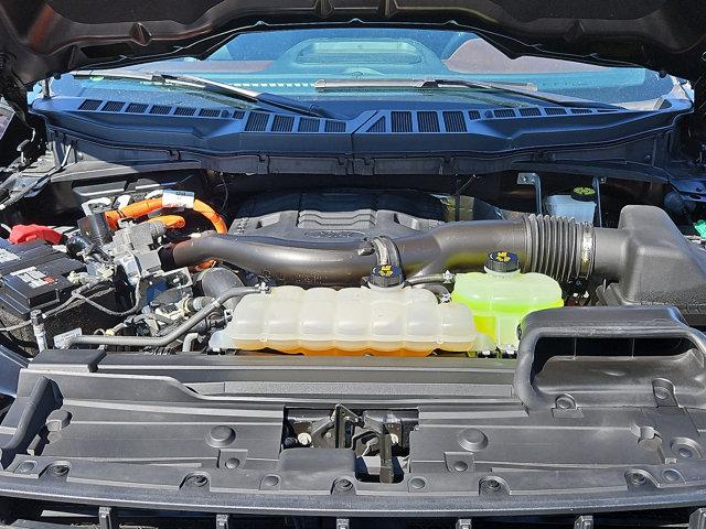 2021 Ford F-150 Vehicle Photo in West Chester, PA 19382