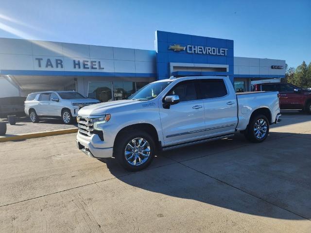 2023 Chevrolet Silverado 1500 Vehicle Photo in ROXBORO, NC 27573-6143