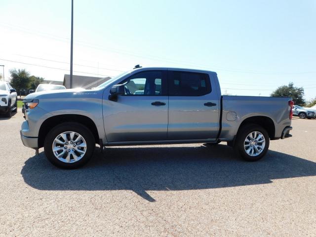 2025 Chevrolet Silverado 1500 Vehicle Photo in Weatherford, TX 76087