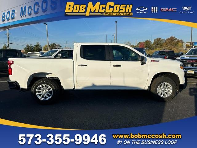 2025 Chevrolet Silverado 1500 Vehicle Photo in COLUMBIA, MO 65203-3903