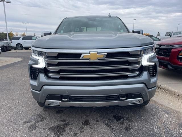 2025 Chevrolet Silverado 1500 Vehicle Photo in GLENWOOD, MN 56334-1123