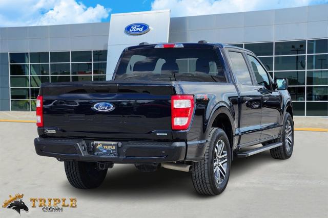 2023 Ford F-150 Vehicle Photo in Stephenville, TX 76401-3713