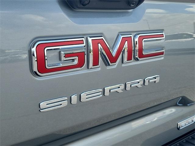 2024 GMC Sierra 1500 Vehicle Photo in LEWES, DE 19958-4935