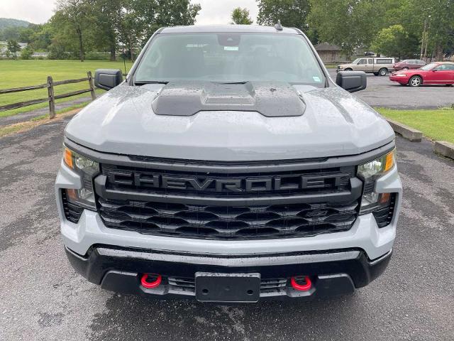 2024 Chevrolet Silverado 1500 Vehicle Photo in THOMPSONTOWN, PA 17094-9014