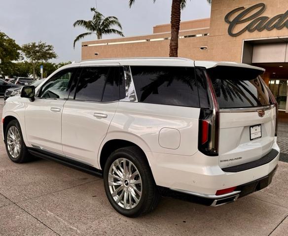 2023 Cadillac Escalade Vehicle Photo in DELRAY BEACH, FL 33483-3294