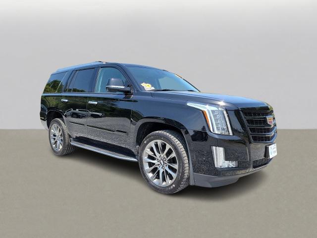 2020 Cadillac Escalade Vehicle Photo in CAPE MAY COURT HOUSE, NJ 08210-2432