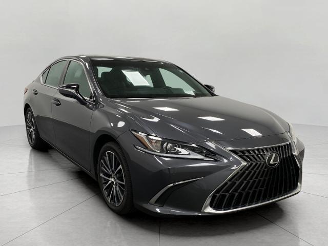 2022 Lexus ES 350 Vehicle Photo in Appleton, WI 54913