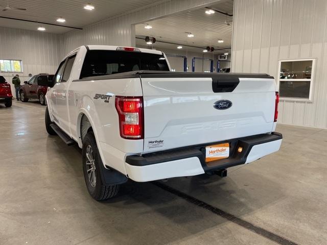 2020 Ford F-150 Vehicle Photo in GLENWOOD, MN 56334-1123