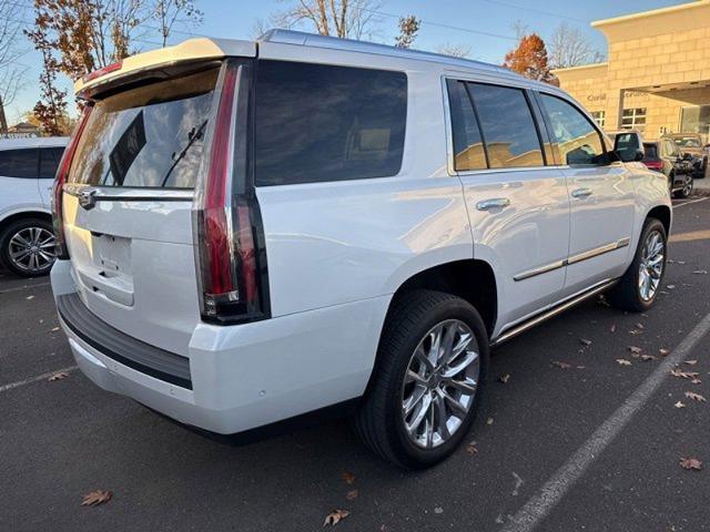 2019 Cadillac Escalade Vehicle Photo in TREVOSE, PA 19053-4984