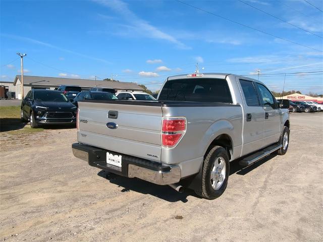 2013 Ford F-150 Vehicle Photo in ALBERTVILLE, AL 35950-0246