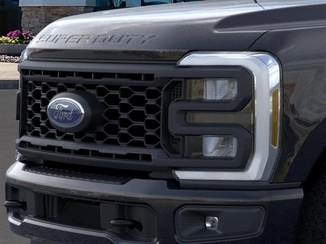 2024 Ford Super Duty F-250 SRW Vehicle Photo in Weatherford, TX 76087-8771