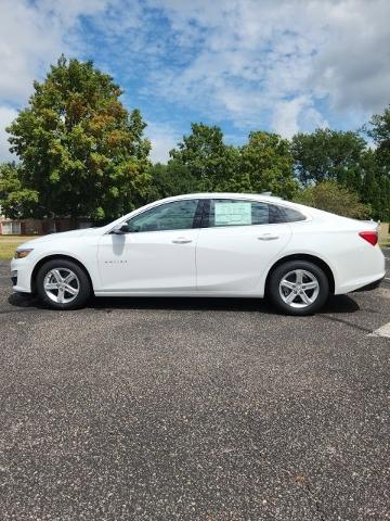 2025 Chevrolet Malibu Vehicle Photo in SAUK CITY, WI 53583-1301