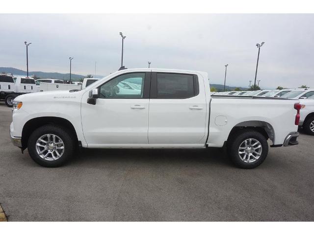 2023 Chevrolet Silverado 1500 Vehicle Photo in ALCOA, TN 37701-3235