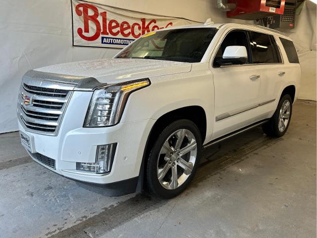 2017 Cadillac Escalade Vehicle Photo in RED SPRINGS, NC 28377-1640