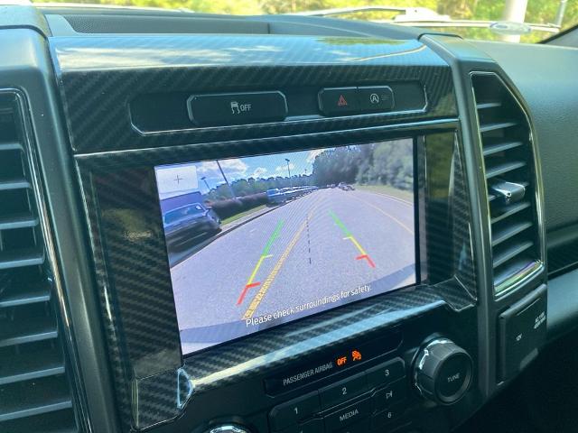 2020 Ford F-150 Vehicle Photo in Statesboro, GA 30458