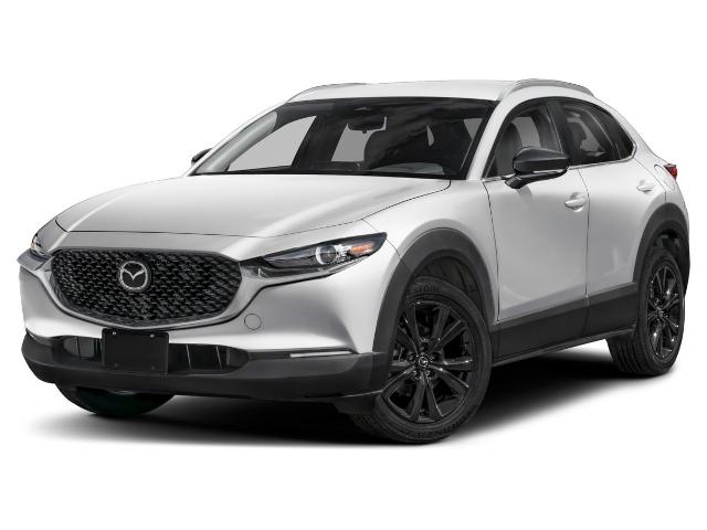 2025 Mazda CX-30 Vehicle Photo in Danville, KY 40422-2805