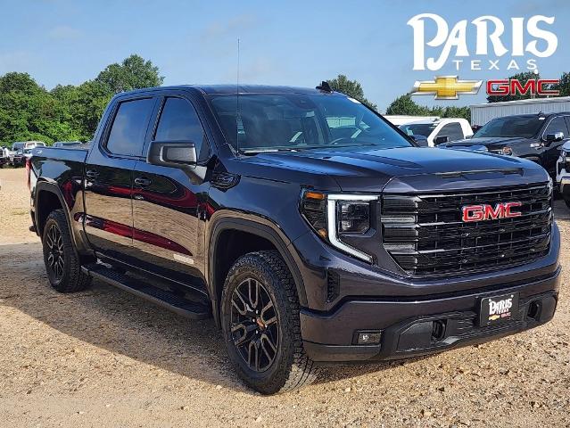 2024 GMC Sierra 1500 Vehicle Photo in PARIS, TX 75460-2116