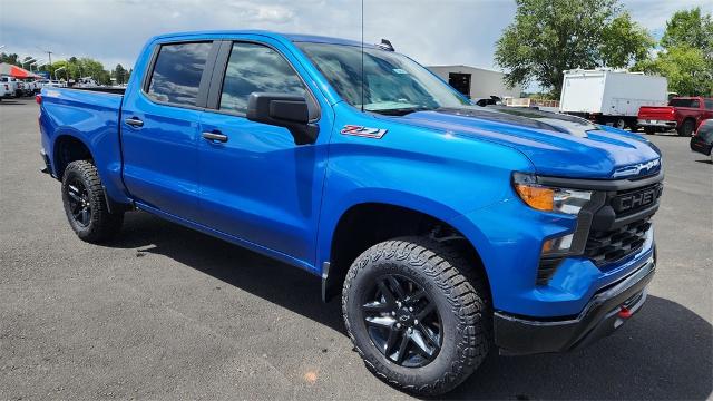 2024 Chevrolet Silverado 1500 Vehicle Photo in FLAGSTAFF, AZ 86001-6214