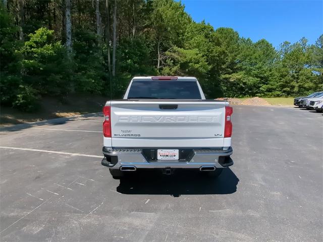 2023 Chevrolet Silverado 1500 Vehicle Photo in ALBERTVILLE, AL 35950-0246