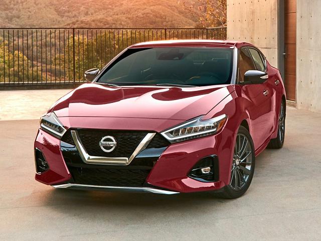 2019 Nissan Maxima Vehicle Photo in OAK LAWN, IL 60453-2517