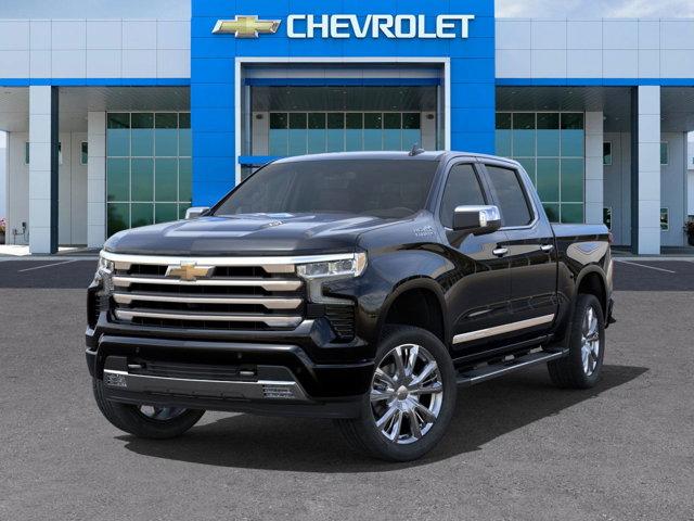 2024 Chevrolet Silverado 1500 Vehicle Photo in SELMA, TX 78154-1460