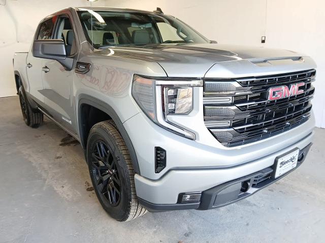 2025 GMC Sierra 1500 Vehicle Photo in RED SPRINGS, NC 28377-1640