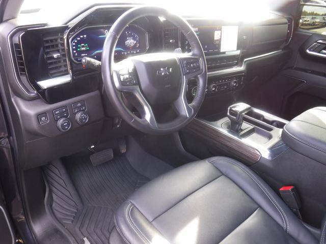 2023 Chevrolet Silverado 1500 Vehicle Photo in JASPER, GA 30143-8655